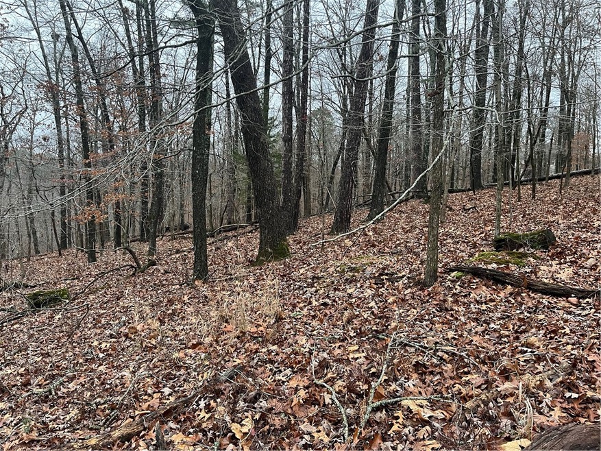 0 Avebury Ln unit 1239408, Bella Vista, AR 72714 - photo 1