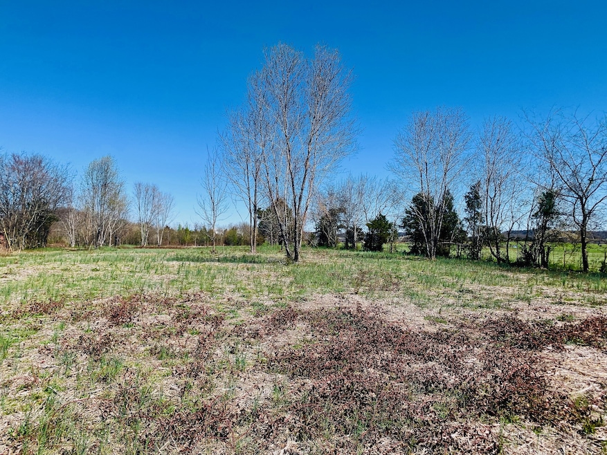 2615 Bluebird Rd, Lebanon, TN 37087 - photo 1