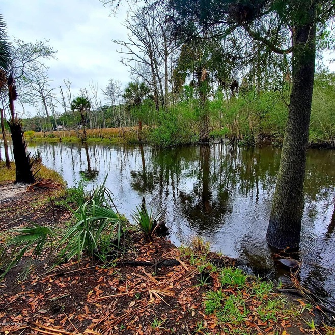 524 Arlington Rd N, Jacksonville, FL 32211 - photo 1