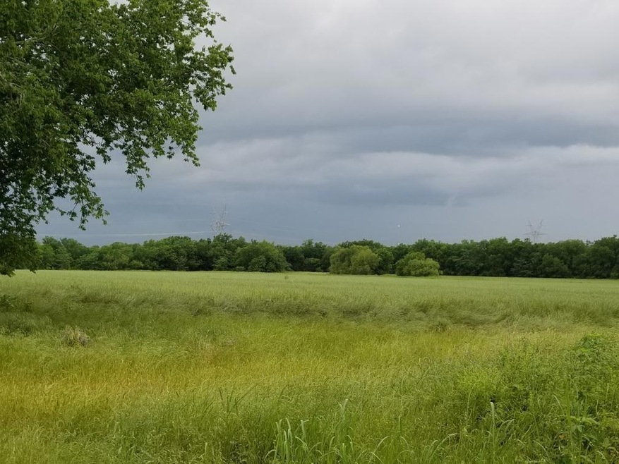 000 County Road 4307, Greenville, TX 75401 - photo 1