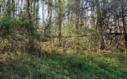 TR 20 Timberwalk Estates, Ellijay, GA 30540 - photo 1