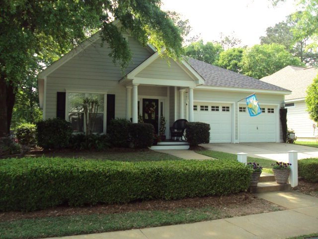 Main View