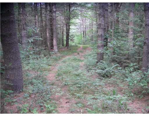 Lot 7 Main St, Sumner, ME 04292 - photo 1