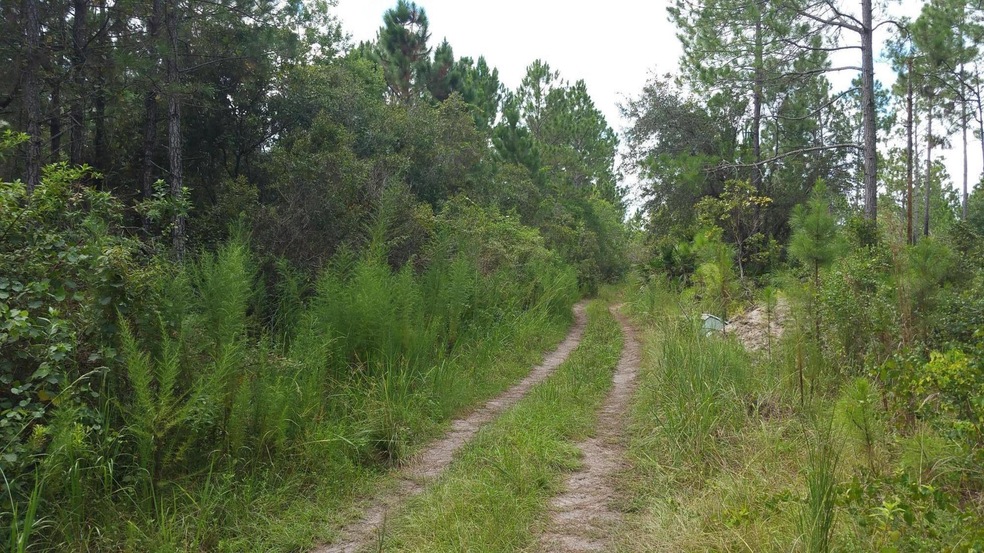 0 Hamlin Ln, New Smyrna Beach, FL 32168 - photo 1