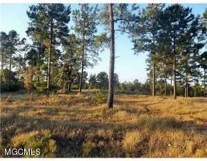 Tbv Hafner Rd, Lucedale, MS 39452 - photo 1