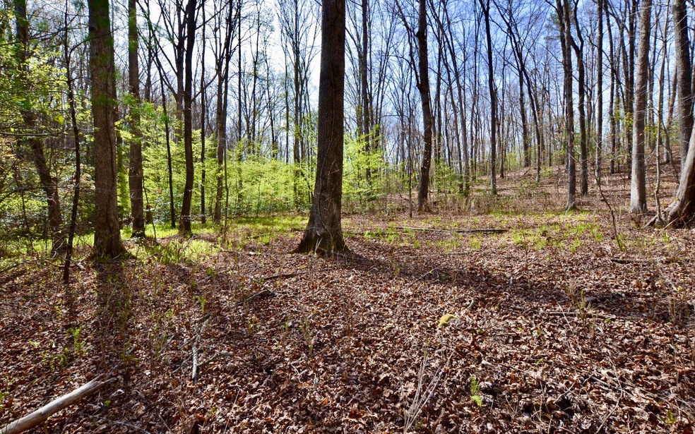 LT 13 Logan Dr, Mineral Bluff, GA 30559 - photo 1