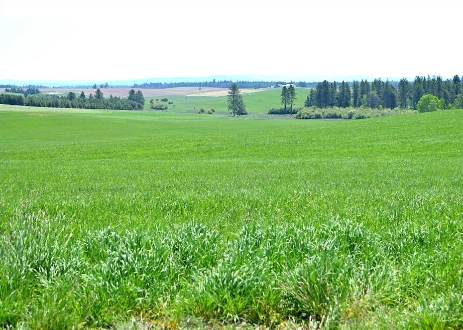 TBD Stuart Rd, Orofino, ID 83544 - photo 1