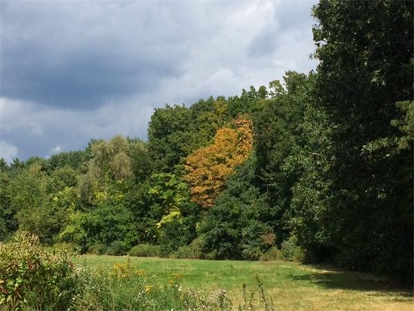 C Henry St, Amherst, MA 01002 - photo 1