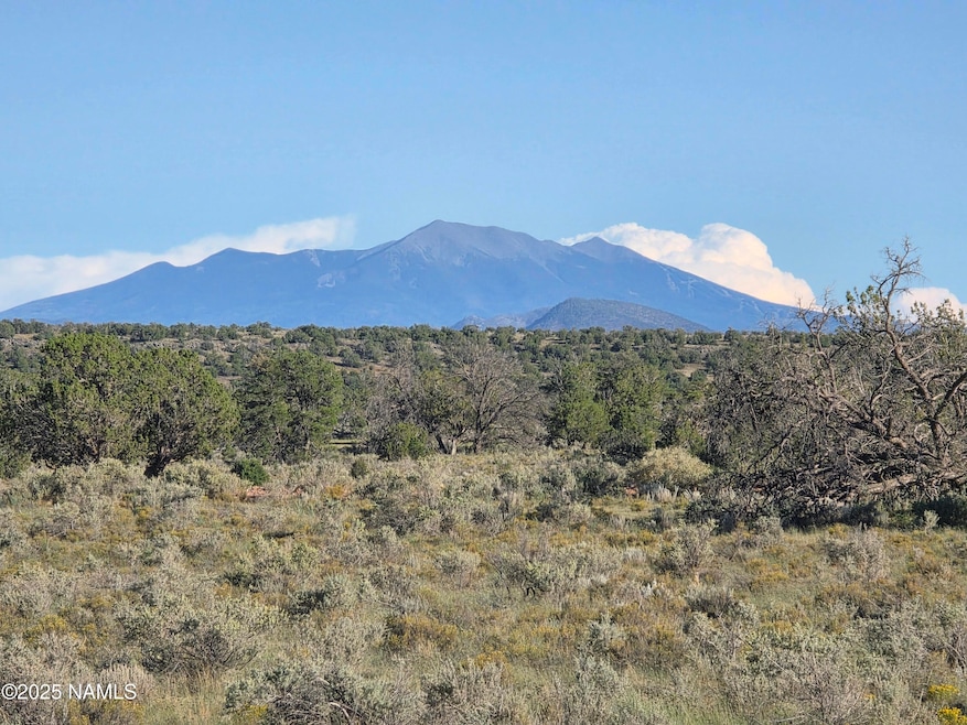 10072 Red Butte Rd, Valle, AZ 86046 - photo 1