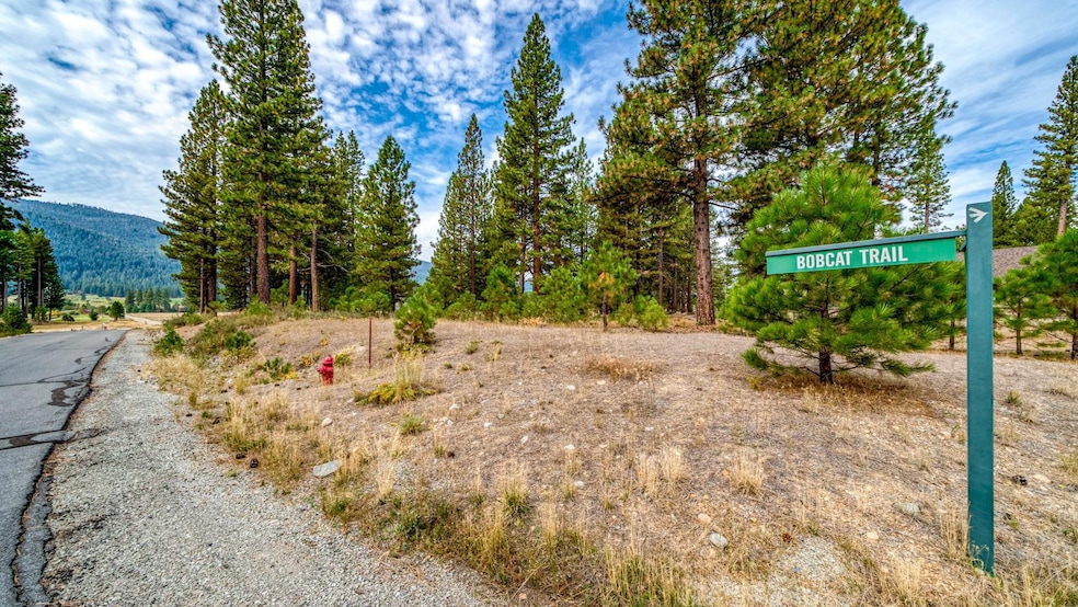 503 Redtail Loop, Clio, CA 96106 - photo 1