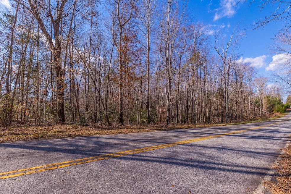 225 Frontier Rd, Enoree, SC 29335 - photo 1