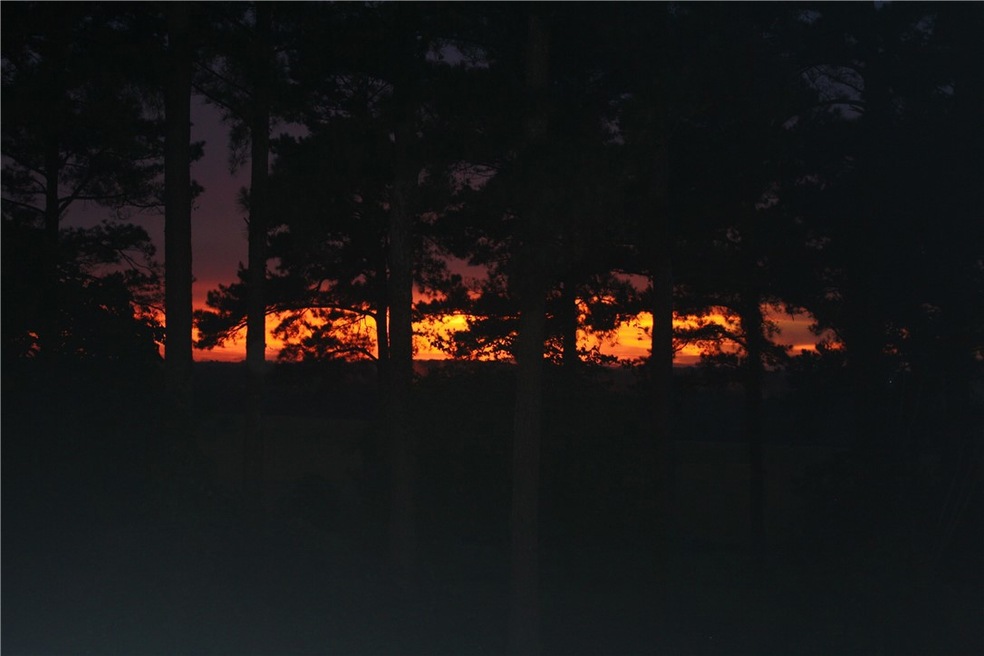 Beautiful Sunset View