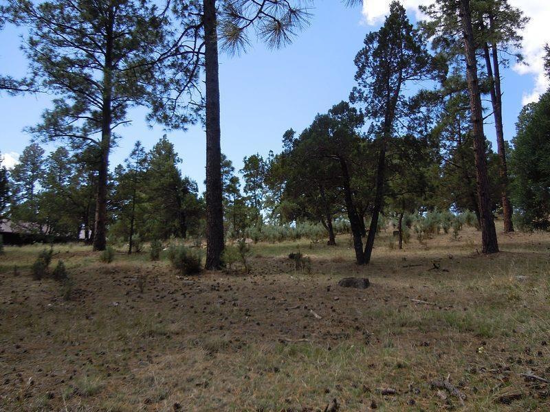 Primary Photo