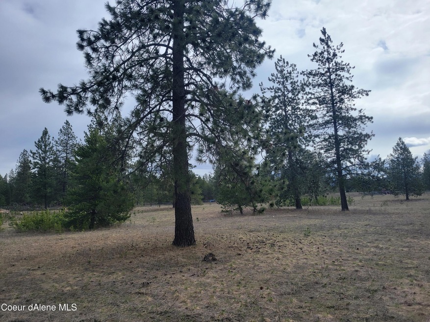 NNA N Williams Ln, Athol, ID 83801 - photo 1