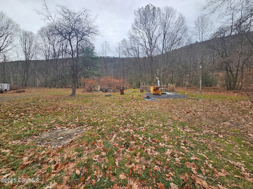 16 Spring Water Blvd, Brandonville, PA 17967 - photo 1