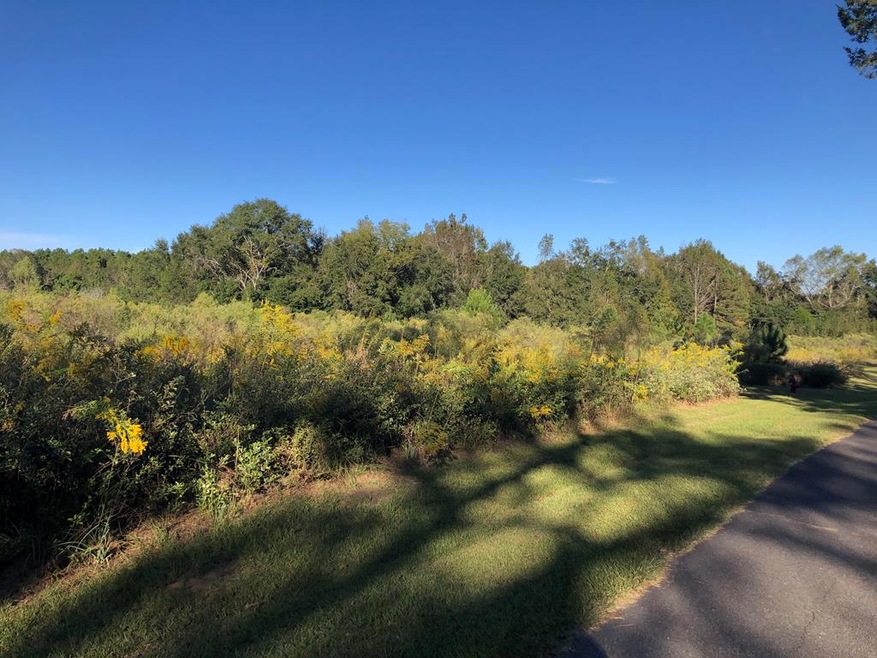 000 Pear St, Pavo, GA 31778 - photo 1