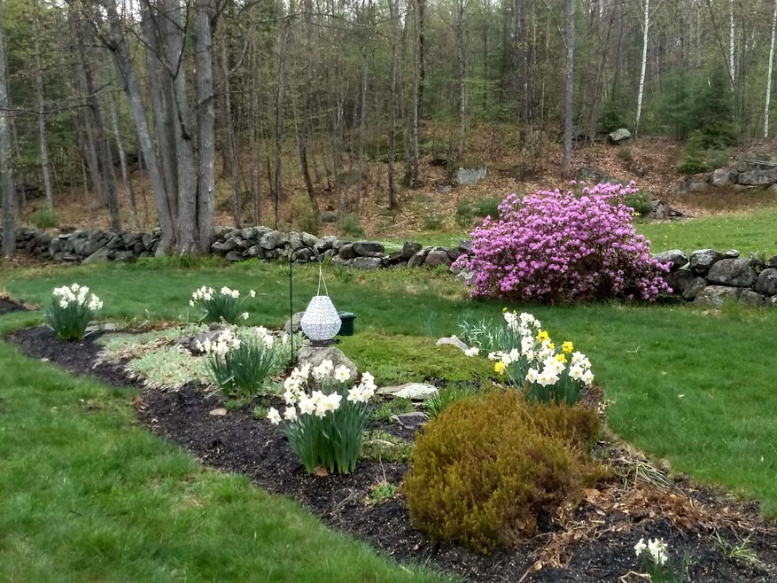 30 Clifford Farm Rd, Dunbarton, NH 03046 - photo 1