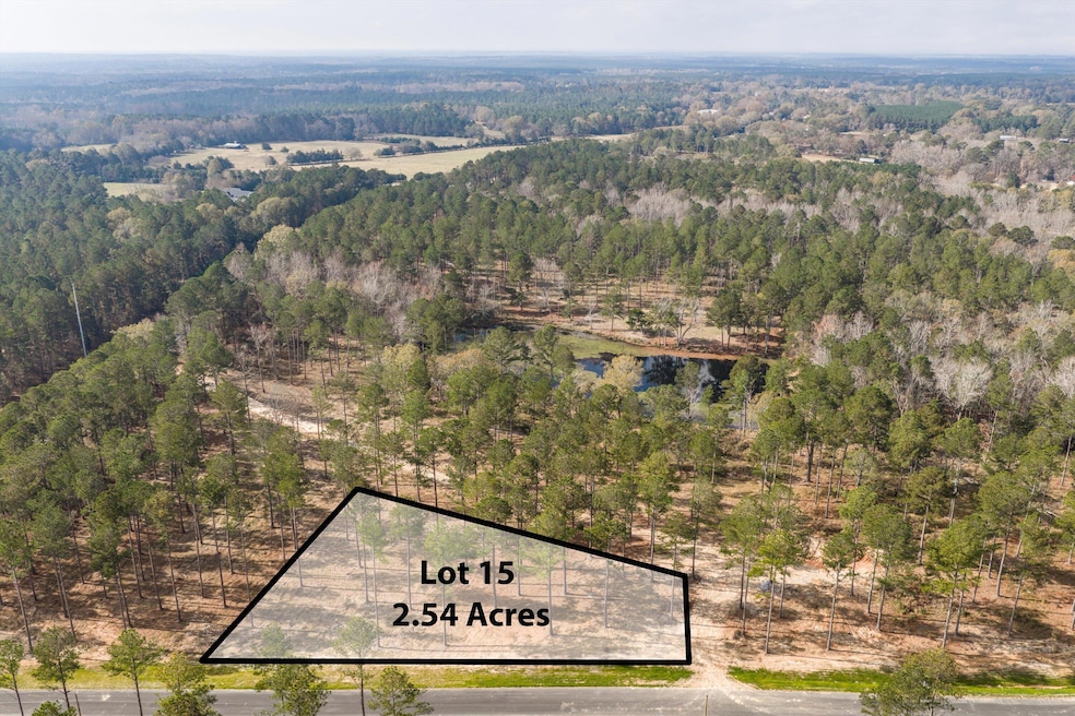 128 Beagle Chase Dr, Appling, GA 30802 - photo 1