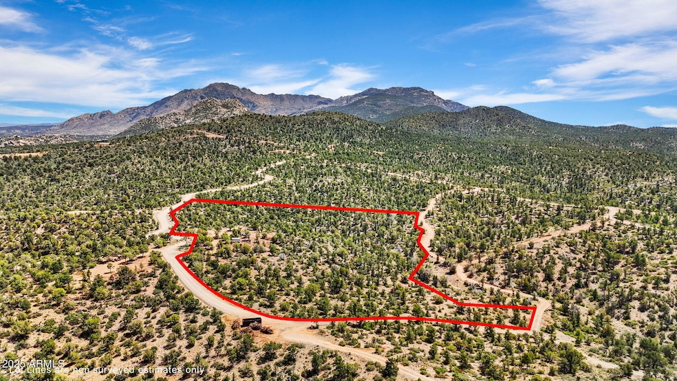 1-Aerial (1) Lot Lines