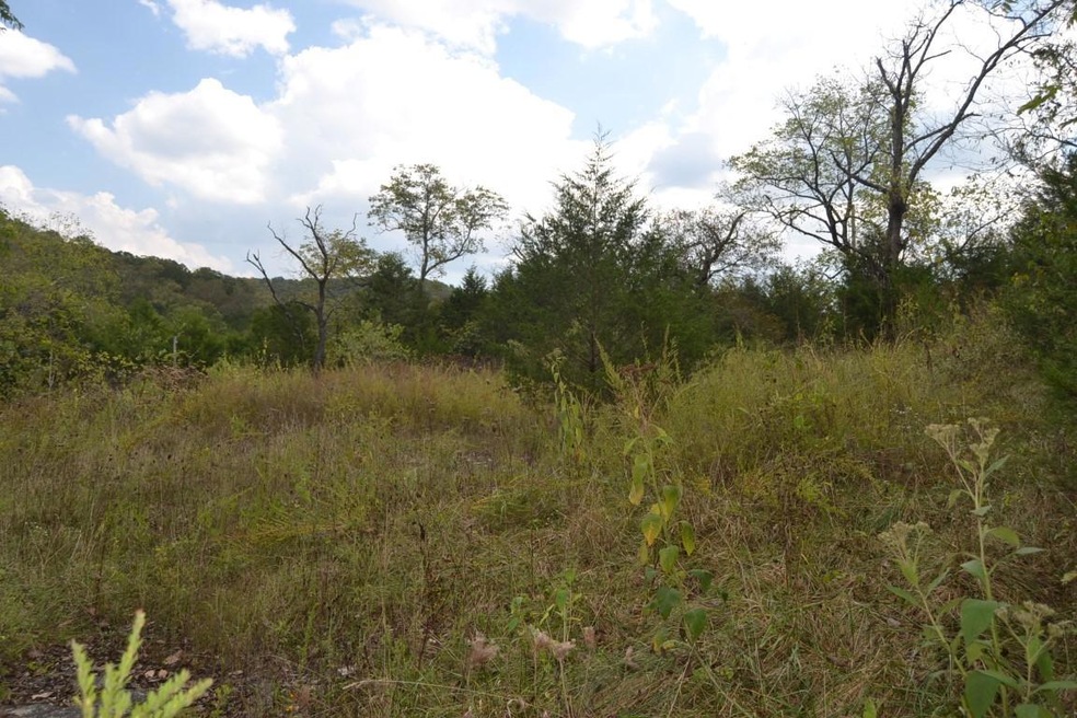 Tbd Farm Road 1182, Jenkins, MO 65605 - photo 1