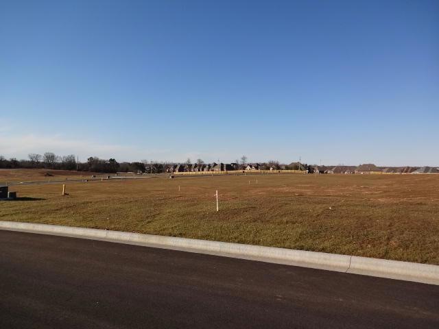 1384 N Rockingham Ave, Nixa, MO 65714 - photo 1