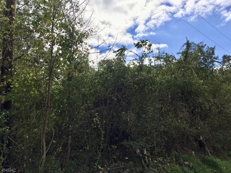 20 Old Beaver Run Rd, Lafayette Township, NJ 07848 - photo 1