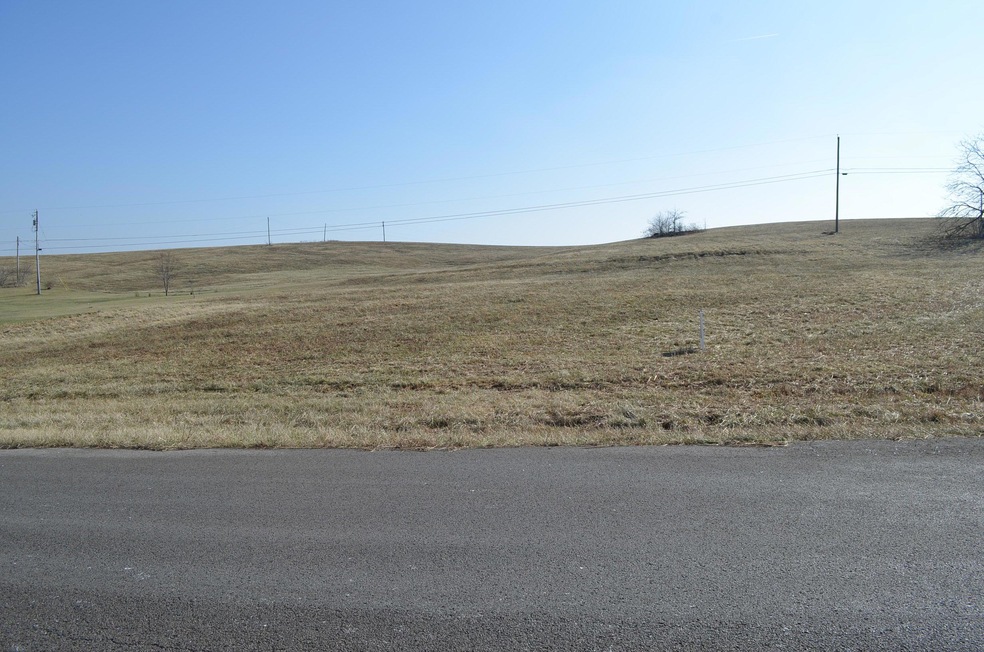 100 Palm Dr, Harrodsburg, KY 40330 - photo 1