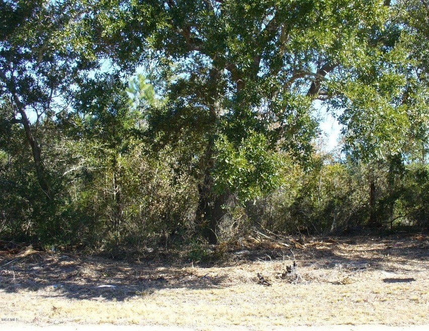 P1030457 (2)
