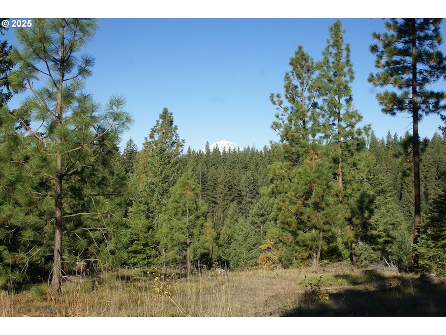 8 Ginger Way, Goldendale, WA 98620 - photo 1