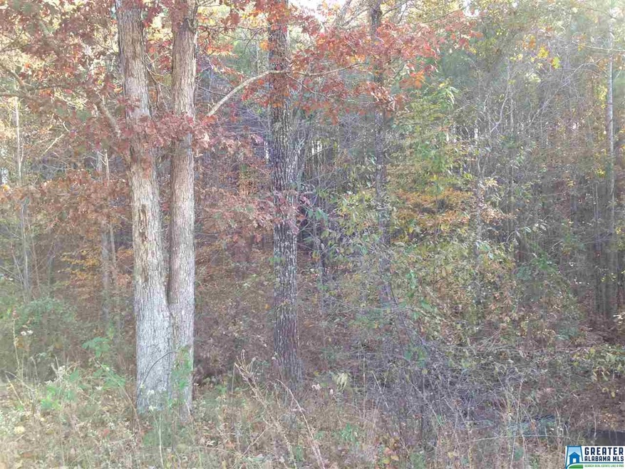 2225 Old Springville Rd unit Zoned A-1, Center Point, AL 35215 - photo 1