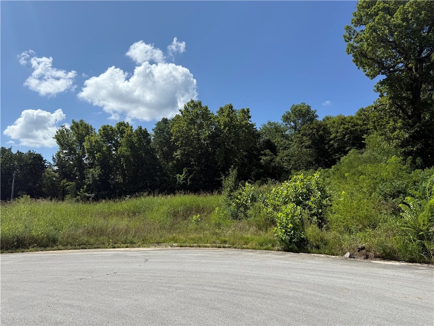 387 & 397 Hidden Creek Place, West Fork, AR 72774 - photo 1