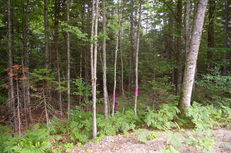 Lot#2 Fernald Hills Way Rd, Stow, ME 04037 - photo 1