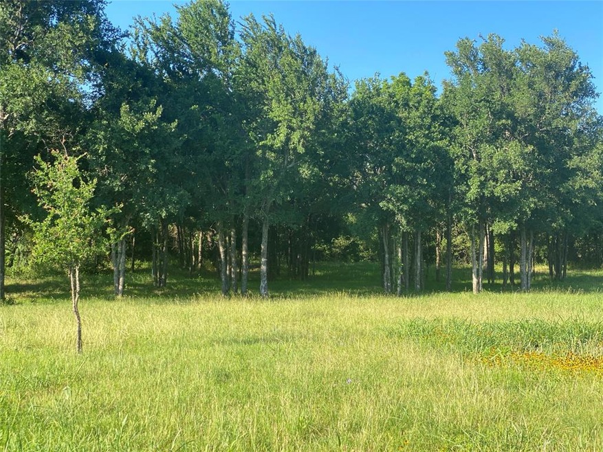 7270 Old Millsap Rd, Millsap, TX 76066 - photo 1