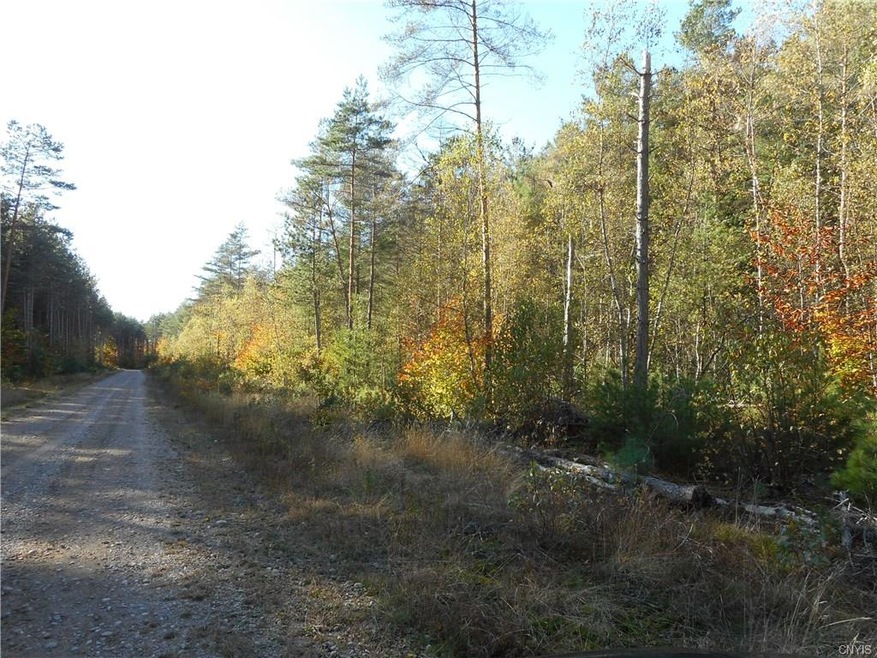 317' Of Road Frontage