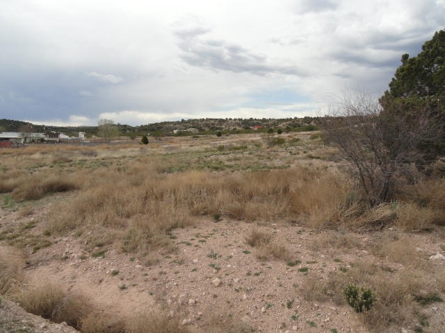 DSC04648