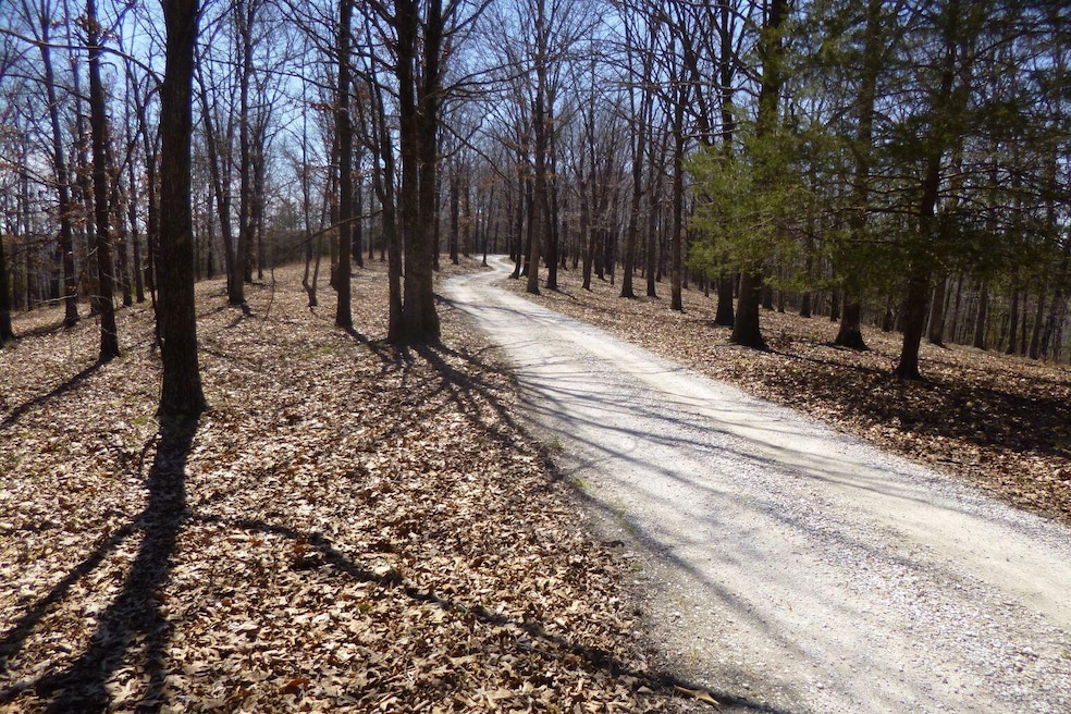 Driveway pic 2