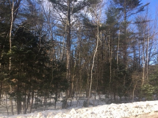 00 Forbes Dr, North Conway, NH 03860 - photo 1