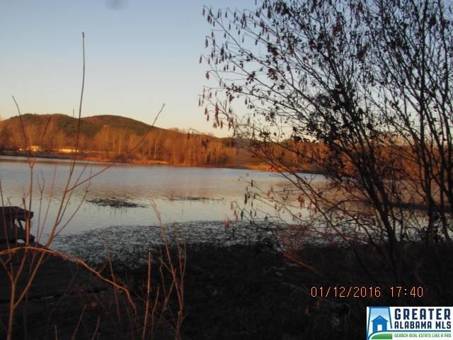 This could be your morning view!