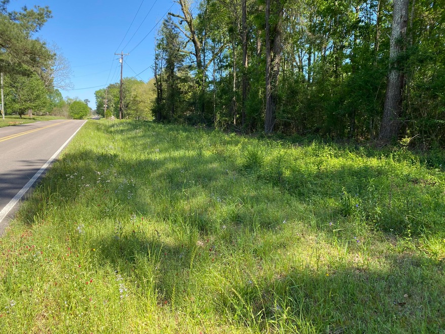 000 Trace Rd, Laurel, MS 39443 - photo 1
