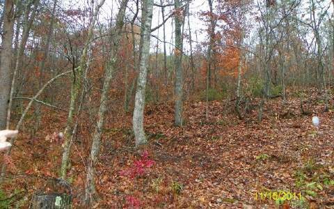 2 AC Rose Petal Ln, Ellijay, GA 30540 - photo 1