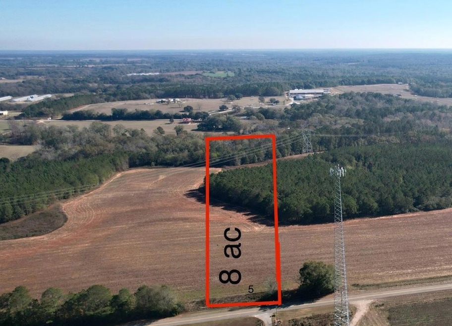 Lot 5 County Road 238, Headland, AL 36345 - photo 1