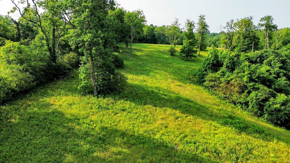 0 Hwy 64 W, Pulaski, TN 38478 - photo 1