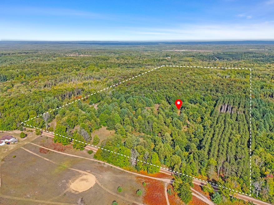 1464 N Raymond Rd, Luther, MI 49656 - photo 1