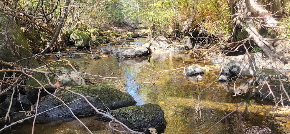 0 Thomas Rd unit 32.1 5052957, Lunenburg, VT 05906 - photo 1