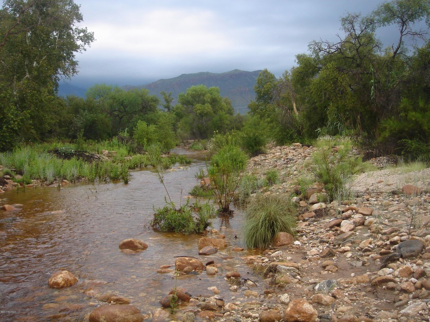 Snyder Sabino Creek Photo