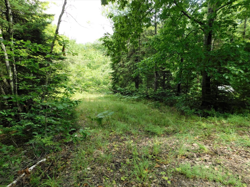 00 Oliver Hill Rd, Dover-Foxcroft, ME 04426 - photo 1