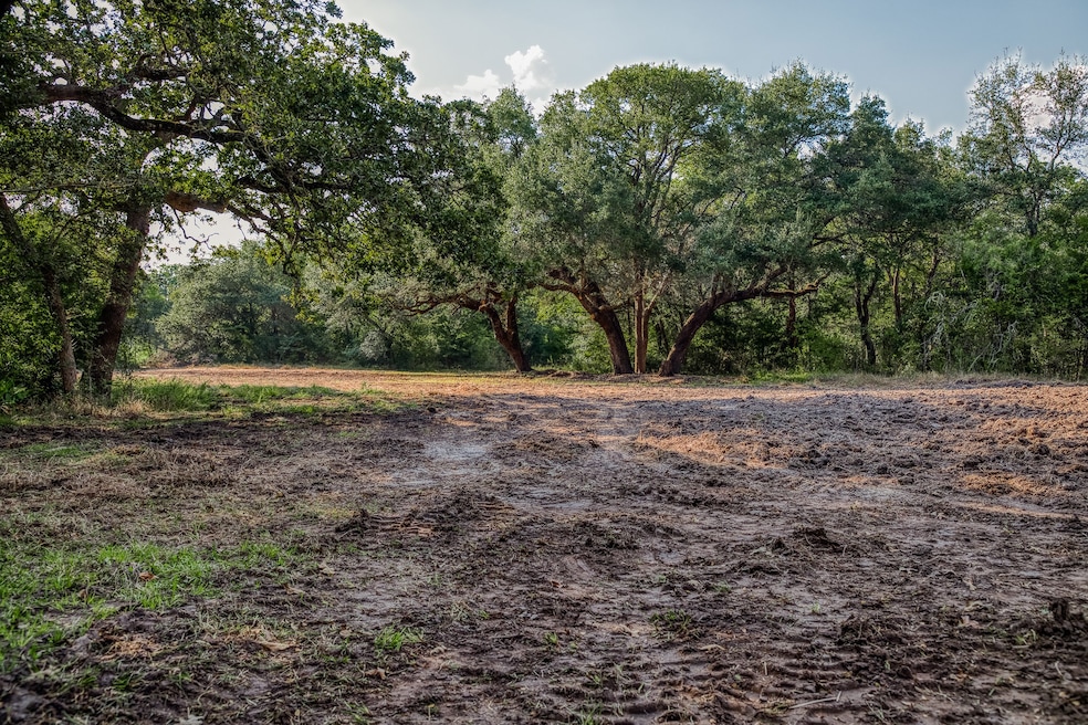 Tract 4 Sun Oil Rd, Brenham, TX 77833 - photo 1