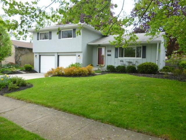 1271 Yellowwood Dr, Columbus, OH 43229 - photo 1