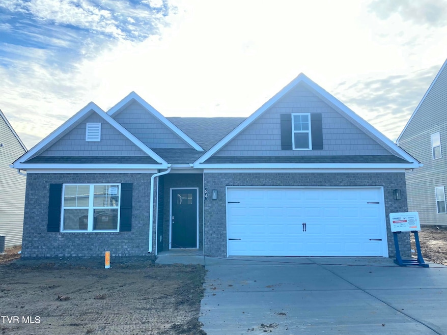 84 Ollie St, Johnson City, TN 37615 - photo 1