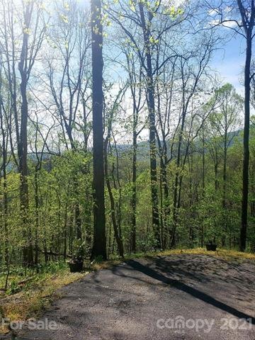 South facing Mountain views when homesite is cleared